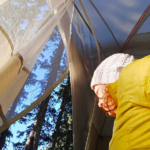 The author, looking out the door of a tent into the woods beyond. The photo was taken on a backpacking trip on the colorado trail, which led to sobriety from alcohol.