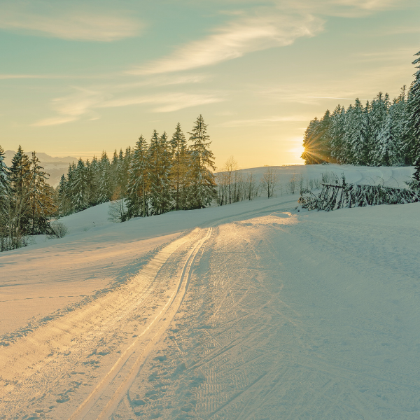 image: cross country ski tracks stretching out into the distance, with trees scattered around.