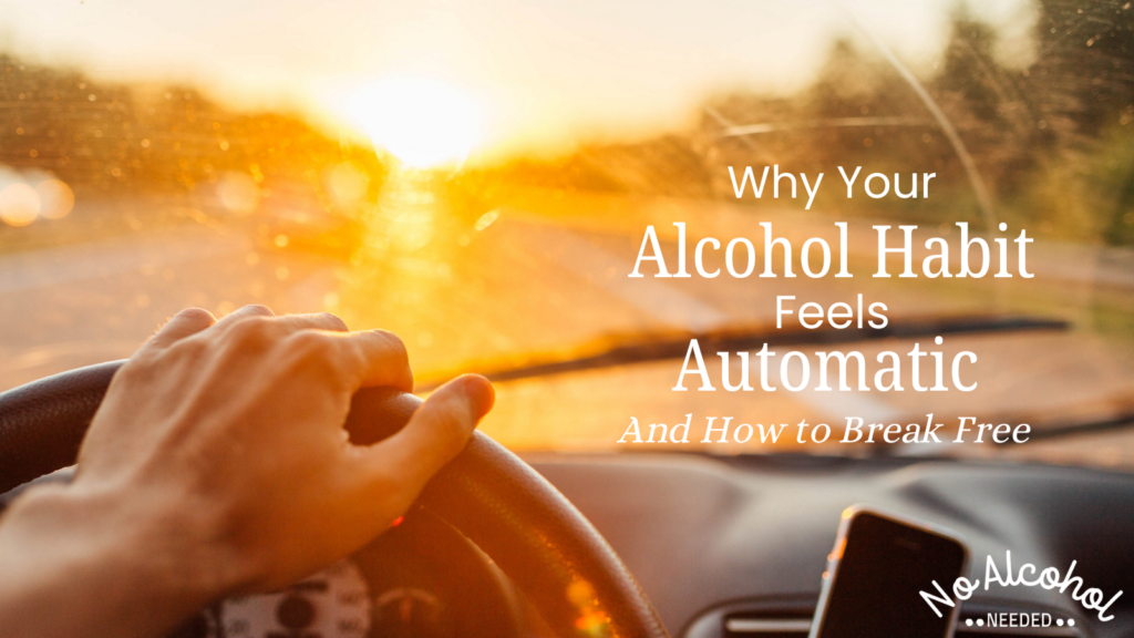 Image: A hand on a steering wheel, with the dashboard of the car visible. Through the windshield, you see the sun setting and a road stretching ahead. Image represents the alcohol habit that causes one to crave a drink when they are headed home from work, as discussed in the article.