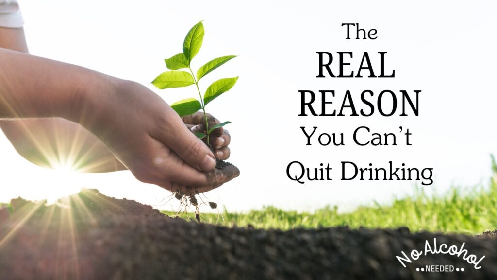 Hands holding the roots of a seedling, ready plant it in the soil below. Title of post: The Real Reason You Can't Quit Drinking